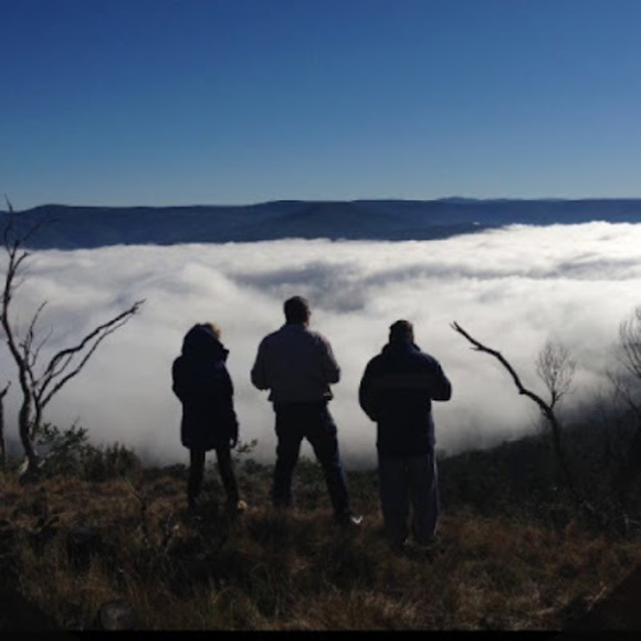 Meet your Posher, Cayleigh - Picture 1 of 1